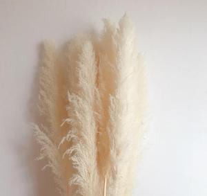 De pampas grass para decoración de <span class=keywords><strong>la</strong></span> boda flores - Product Image 3