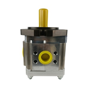 Bomba de engranajes para máquina de moldeo por inyección ECKERLE 890-EI-1250-RK2-C601 de Alemania - Product Image 6