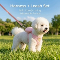 Ensemble harnais et laisse brodés pour chien avec mini sac à dos, gilet réglable pour petits chiens et chats