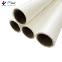Rouleaux de film PET DTF à haute transfertabilité, mat, 30/60 cm, A3, pour vêtements, film de transfert thermique, matériau d'impression par transfert thermique pour vêtements