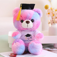 Produsen Grosir Kustom Boneka Beruang Lucu Topi Baru Beruang Dokter Beruang Wisuda Boneka Plush Mainan Bantal Hiasan Hadiah CPC CE OEM 2026