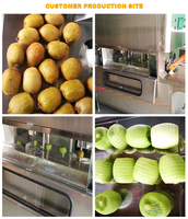 Industriële fruit- en sinaasappelschilmachines met hoge efficiëntie, prijs voor peer/sinaasappel/citroen schilmachine
