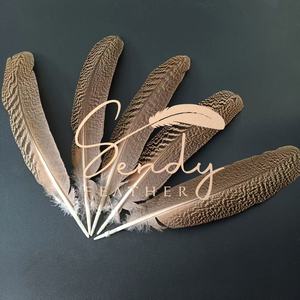 Producto de Artesanía con Plumas de Primera Calidad, Excelente Calidad, Precio Razonable, Alas de Pavo Real Natural Moteadas de 30-35 cm en Venta - Product Image 1