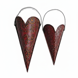 Maceta colgante de pared de hierro y Metal con recubrimiento en polvo, maceta para interior, jardín, maceta para decoración de sala de estar - Product Image 1