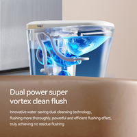 Toilette intelligente haut de gamme avec affichage de la température LED, finition dorée, siège chauffant, lavage à l'eau chaude, séchage à l'air, désodorisation, bidet intégré