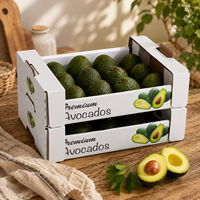 Carton d'emballage pour fruits en carton ondulé imprimé sur mesure avec trous de ventilation pour l'expédition de pommes, d'oranges et de mangues