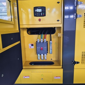 Générateur diesel <span class=keywords><strong>rose</strong></span> triphasé personnalisé 800KVA/640KW avec alternateur ATS Stamford fréquence 50/60Hz Type silencieux - Product Image 5