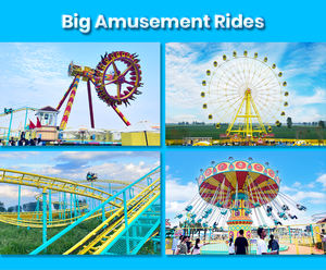 Manège de <span class=keywords><strong>parc</strong></span> d'attractions personnalisé en usine, centre de divertissement familial, Rave Duck, petit manège pour enfants et adultes, montagnes russes tournantes à vendre - Product Image 5