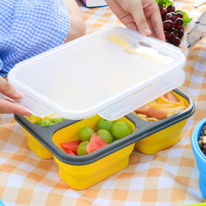 2023 Hot Sale Collapsible Camping Folding Bowl Pot for Kids Storage Food Storage Container Set Boxes Lunch Bento Box