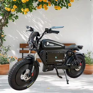 Bicicleta Eléctrica de Alta Calidad 2025, Nueva, Modelo Negro, Batería de Litio, 48V 60V, para Desplazamientos Urbanos, SK-2 City B - Product Image 1