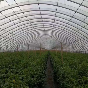 Large Plastic <strong>Poly</strong> Film Agriculture Greenhouse Low <strong>Cost</strong> High <strong>Tunnel</strong> for Growing Vegetables Hydroponic Agriculture Greenhouse - Product Image 2
