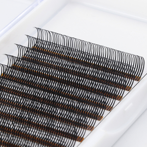 2022 New Arrival 5d Easy Fan Lash <strong>0.07</strong> C,CC,<strong>D</strong> <strong>Curls</strong> Lightweight Handmade Premade Fan Eyelash Extension - Product Image 1