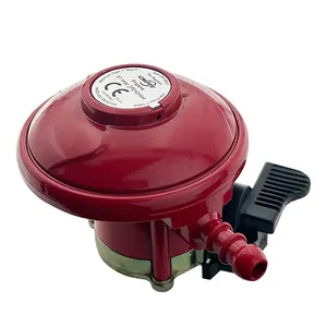 Bestselling LPG Regulator With Gas Hose For BBQ Gas Grill CE
