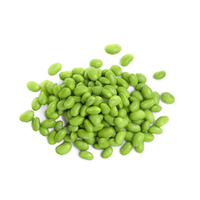 Vente en gros de fèves congelées IQF Qualité supérieure ISO & BRC HACCP Légumes surgelés d'origine chinoise approuvés