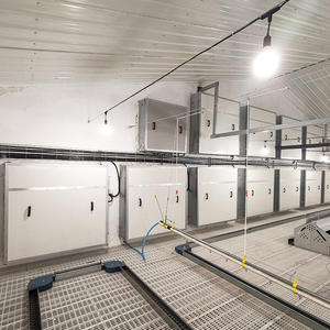 Máquina alimentadora <span class=keywords><strong>de</strong></span> cadena <span class=keywords><strong>de</strong></span> Casa <span class=keywords><strong>de</strong></span> pollo <span class=keywords><strong>de</strong></span> <span class=keywords><strong>precio</strong></span> barato <span class=keywords><strong>de</strong></span> fábrica <span class=keywords><strong>de</strong></span> Venta caliente/equipo <span class=keywords><strong>caja</strong></span> nido <span class=keywords><strong>de</strong></span> puesta <span class=keywords><strong>de</strong></span> huevos para granja avícola - Product Image 5