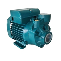 Pompe de surpression électrique auto-amorçante haute pression PK60 220V 0,5-1 CV pour usage domestique, pompe de surpression pour robinet, pompe de circulation pour chauffage