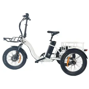 QUEENE/20 inch folding electric trike fat tire 3 wheel Electric Tricycle three wheels adult cargo electric bike