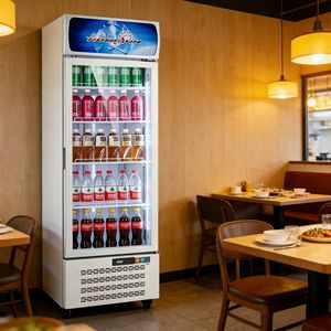 Réfrigérateur commercial à porte vitrée avec compresseur 338L pour aliments et boissons, idéal pour les supermarchés, les restaurants - Product Image 1