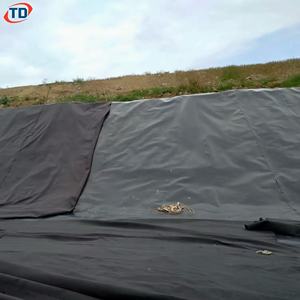 Geomembrana Impermeable Azul Verde para Revestimiento de Piscifactorías 0.75mm 1mm 1.5mm Revestimiento para Estanques de Camarones Geomembrana de HDPE 60mil 500micron - Product Image 3