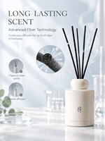 Diffuseur de parfum d'ambiance en céramique 100 ml avec bâtonnets en fibre à parfum longue durée pour chambre, salon, cadeau