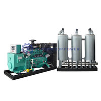 Convertidor de Biogás Rural de 220KW, Generador de Gas Propano con Enfriamiento por Agua y Arranque Eléctrico para GLP, Gas Natural, Gas de Síntesis y Gas de Biomasa -95%