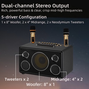 Nouvelle enceinte karaoké haute puissance avec <span class=keywords><strong>2</strong></span> micros sans fil, télécommande, pour home cinéma et utilisation extérieure, étanche, modèle M801A - Product Image 5