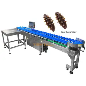 Live fish and Live eel sorting machine with date size by weight