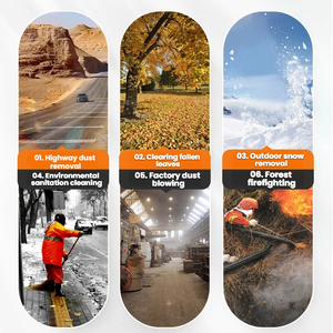 Jujube Leaf <strong>Gas</strong> Backpack Gasoline Turbo air Jet Leaf Ego Snow <strong>Blower</strong> - Product Image 4