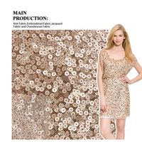 Usine en gros 100% polyester maille plusieurs couleurs paillettes tissu brodé pour robe de femme