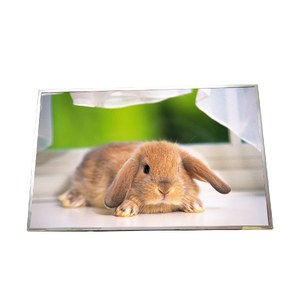 จอ LCD ราคาประหยัด รุ่น B170PW03 V3 60Hz ขนาด 17.0 นิ้ว ความละเอียด 1440*900 แบบ LVDS - Product Image 1
