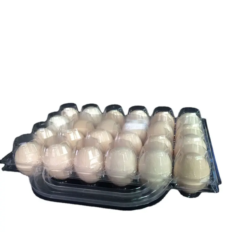 卸売24ハンドル透明真空プラスチック卵トレイ大量メーカー優先プラスチックプレートボウル