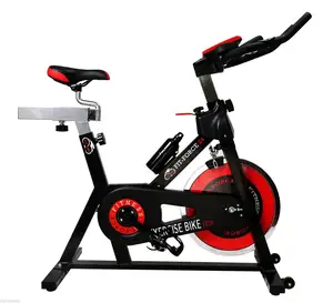 Hot Selling Indoor Gym Cardio Training Foldable Spinning Bike13Kg Flywheel Weight For Loss Bike