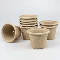RUNWELL Pots de pépinière jetables en pulpe de bagasse de canne à sucre recyclée et biodégradable, résistants aux UV