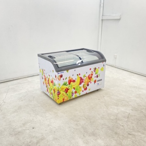 Congelador Horizontal Comercial de Doble Puerta, Gran Capacidad, para Supermercados y Tiendas - Product Image 1