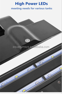 A.S. Vente chaude 250B <span class=keywords><strong>Aquarium</strong></span> <span class=keywords><strong>de</strong></span> bureau Fish Tank Set Design en gros <span class=keywords><strong>de</strong></span> verre avec filtre arrière pour système d'<span class=keywords><strong>eau</strong></span> marine ou douce - Product Image 4