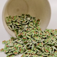 1kg/Sac Vente Chaude Personnalisable Motif Cactus Accessoires de Colle Crème et Patchs pour Ongles Tranches d'Argile Polymère pour la Décoration DIY en Gros
