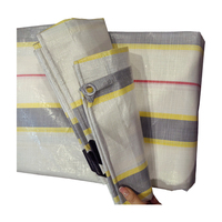 Feuille bleue de bâche de PE de bâche de bâche de couverture de toit de polyéthylène léger imperméable poly