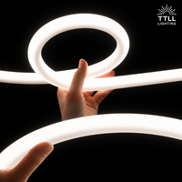 Tube néon LED flexible en silicone RGBW 24V 360 degrés avec télécommande et variateur d'intensité pour éclairage architectural et signalétique