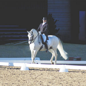 <span class=keywords><strong>Fentech</strong></span> Arène de dressage portable durable de haute qualité 20m X 60m en PVC pour l'entraînement Fabriquée en matériau HDPE haute résistance - Product Image 2