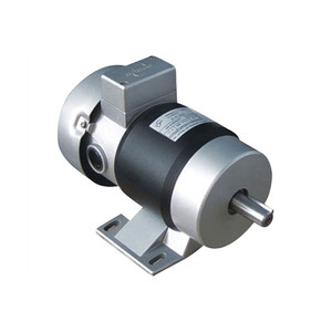 Motor de CC con Escobillas de Imán Permanente de la Serie Rotomag RM, 24 V, 12 V, para Uso Industrial - Product Image 5