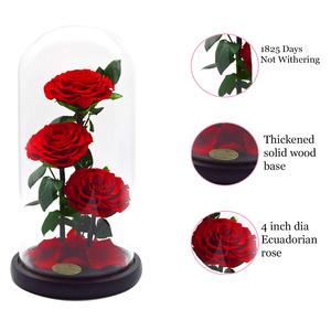 Giorno di San Valentino Anniversario di Matrimonio Compleanno Conservato <span class=keywords><strong>Rosa</strong></span> Mai Appassito Rose Fiore in 12.5X6 Cupola di Vetro Regalo - Product Image 5