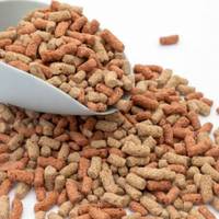 Cocosir Commande en gros Réductions Saveur d'appât de musc Saveur liquide et parfum Essence de qualité alimentaire pour animaux de compagnie 1kg Service personnalisable