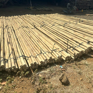 Bâton de bambou naturel Tam Vong, longue durée de vie, anti-fissuration, pour le soutien des plantes de jardin, l'agriculture et l'aménagement paysager - Product Image 1