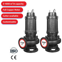 Pompe submersible pour eaux usées en acier inoxydable série WQ, haute puissance, pour la lutte contre les inondations, pompe à eau pour usage agricole