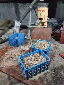 Pellet maschine Biomasse Holz bereit gestellt Holz Sägemehl Stroh Pellet herstellungs maschine