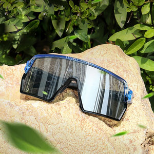 Lunettes de soleil pour hommes de randonnée en plein air, photochromiques, coupe-vent, en polycarbonate, protection UV, vente en gros - Product Image 2