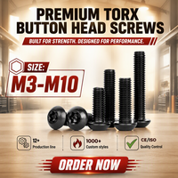 Vis à tête bombée Torx noires en acier inoxydable A2-70 SS 304 M3 M5 M6 M8 M10 pour meubles et automobile