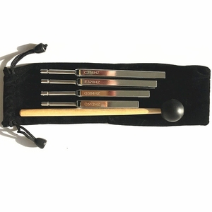 Kit de 4 Diapasones Neurologicos para Terapia de Sonido y Vibración, Instrumento para Enseñanza de Fisioterapia Médica (Venta al Por Mayor) - Product Image 5