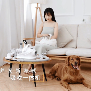 Sèche-cheveux électrique pour animaux de compagnie, machine de toilettage pour chiens et chats, pour usage domestique, avec tuyau et réservoir transparent - Product Image 3