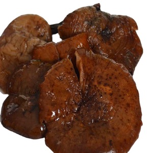 Hongos de Miel Armillaria Mellea Silvestres Comestibles Enteros y Secos al por Mayor, 100% Naturales, Marca Chengyitang, para Venta en Línea - Product Image 4
